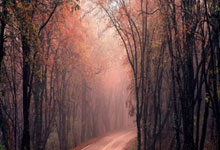 王楚钦／林诗栋夺得WTT新加坡大满贯男双冠军央视新闻客户端.