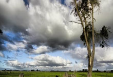 [法甲]马赛赢球 暂居积分榜次席.