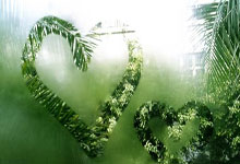 雷速体育：[德甲]凯恩帽子戏法 拜仁五场连胜.